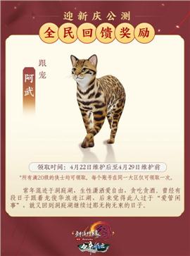 天龙八部私服幻世纵横